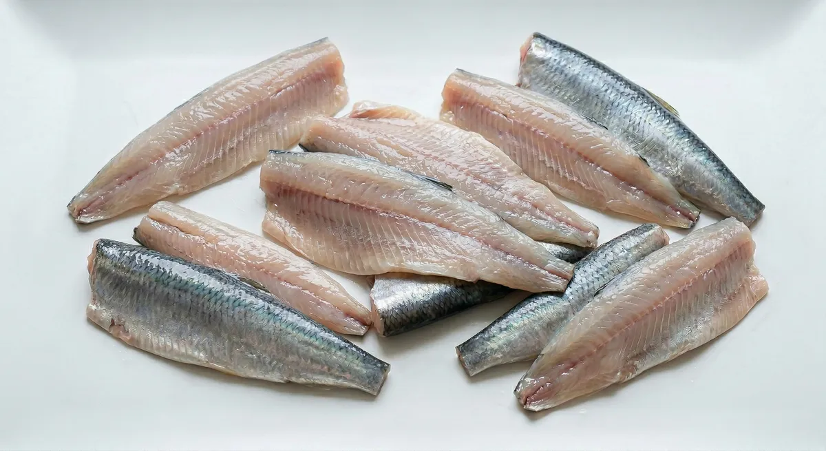 Filets de harengs