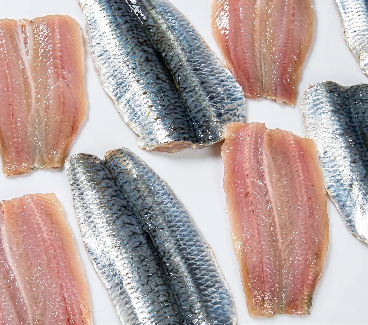 Filets de sardines