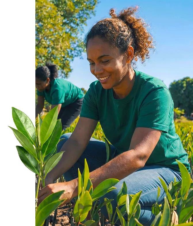 Reforestation à Madagascar — partenariat Reunimer et Bôndy