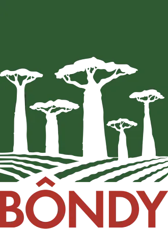 Logo Bôndy — association de reforestation à Madagascar