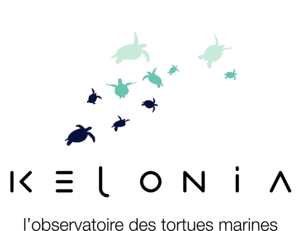 Logo Kelonia — l'observatoire des tortues marines